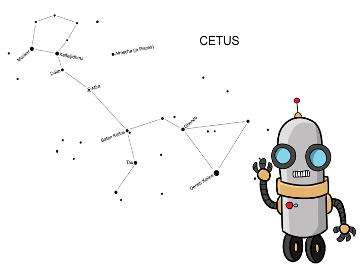 Hi I'm the Cetus Bot.